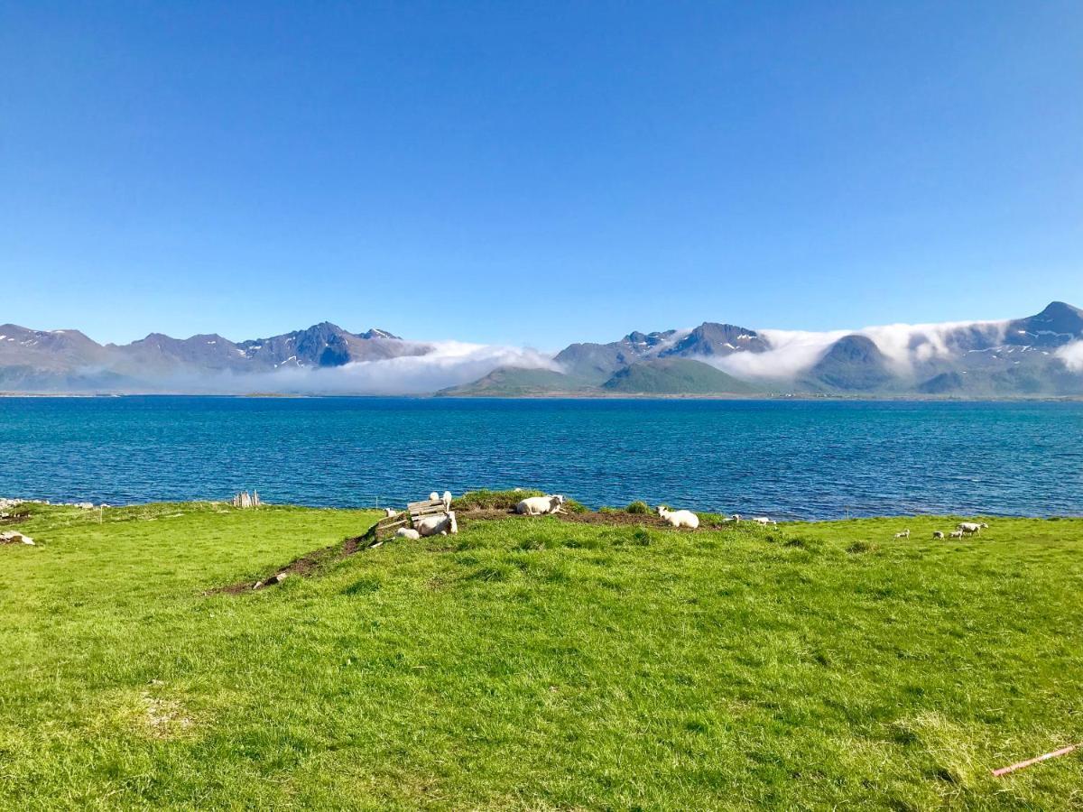 Lofoten Bay View Bostad Exteriör bild